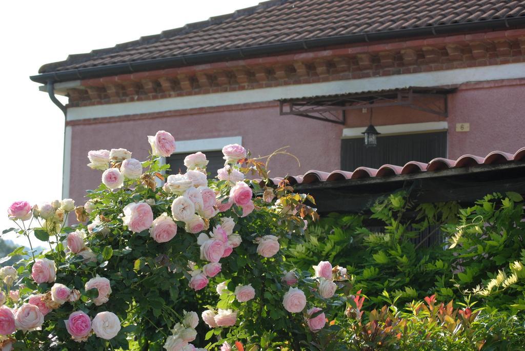 B&B La Cà Cita Cortazzone Ngoại thất bức ảnh
